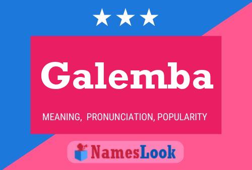 Galemba Name Poster