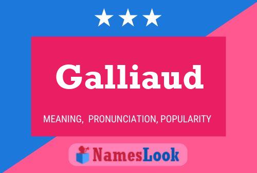 Galliaud Name Poster