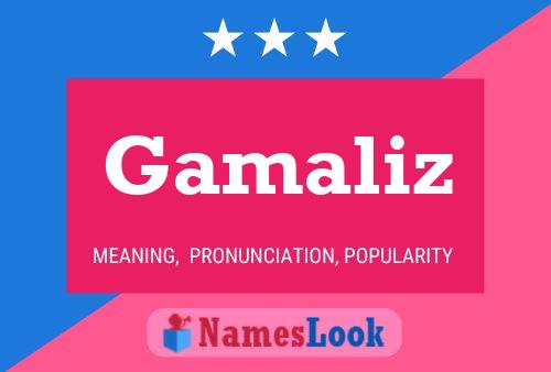 Gamaliz Name Poster