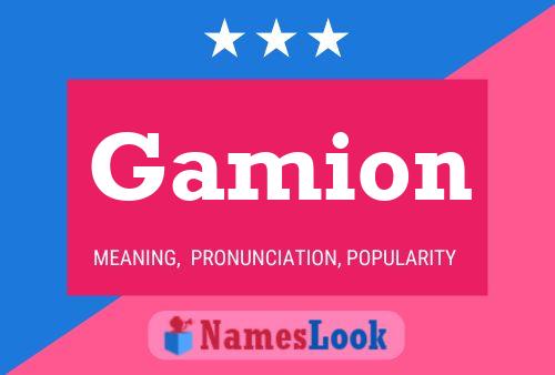 Gamion Name Poster