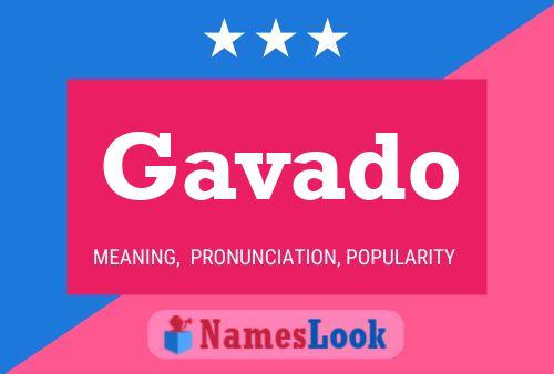 Gavado Name Poster