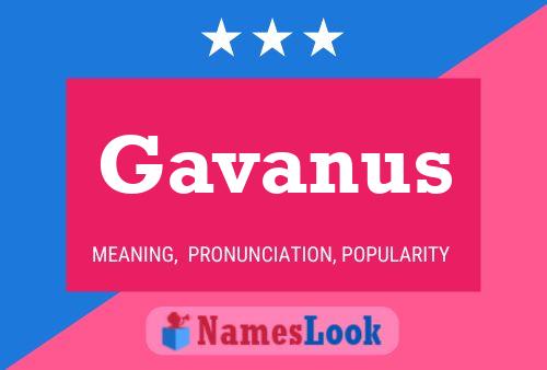 Gavanus Name Poster