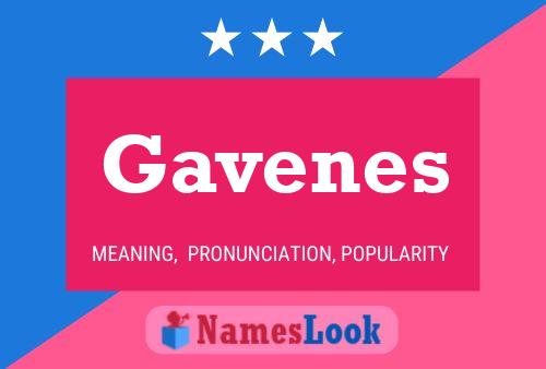 Gavenes Name Poster