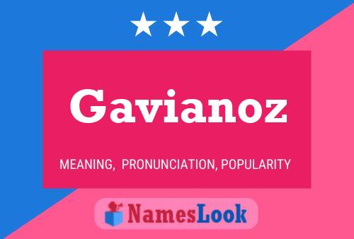 Gavianoz Name Poster