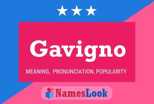 Gavigno Name Poster