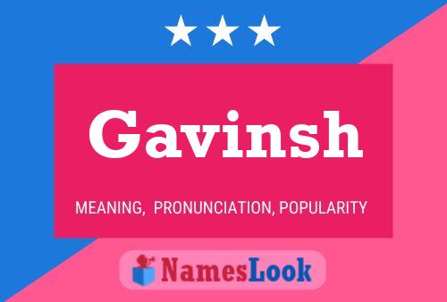 Gavinsh Name Poster