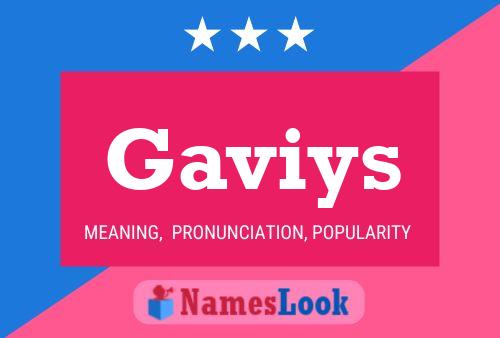 Gaviys Name Poster