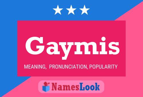 Gaymis Name Poster