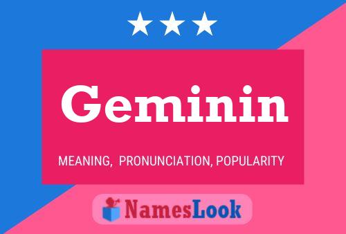 Geminin Name Poster