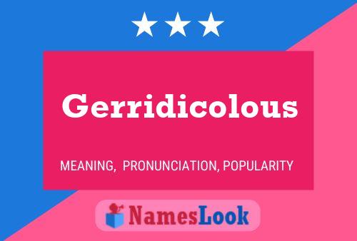 Gerridicolous Name Poster