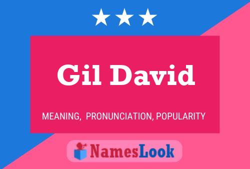 Gil David Name Poster