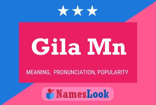 Gila Mn Name Poster