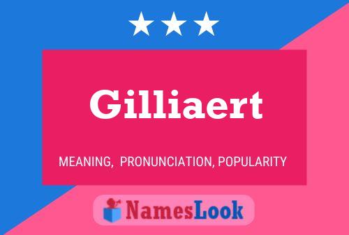 Gilliaert Name Poster