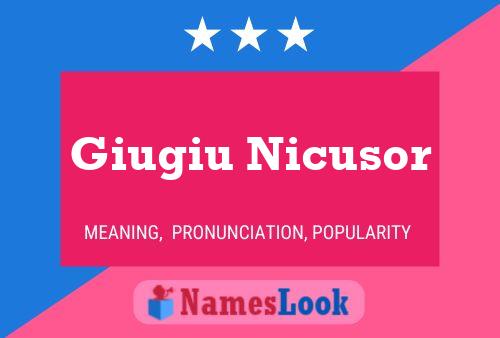 Giugiu Nicusor Name Poster