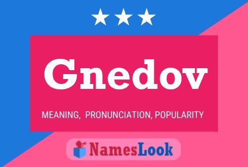 Gnedov Name Poster