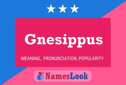 Gnesippus Name Poster