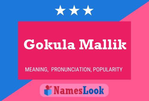 Gokula Mallik Name Poster