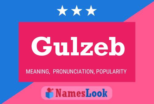 Gulzeb Name Poster