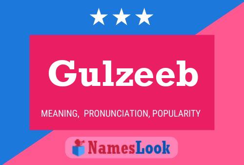 Gulzeeb Name Poster