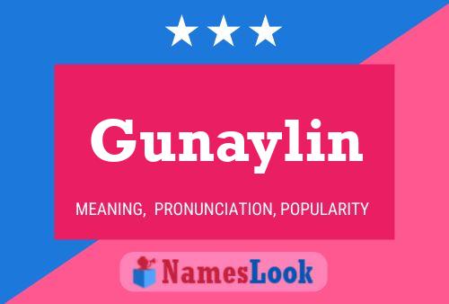 Gunaylin Name Poster