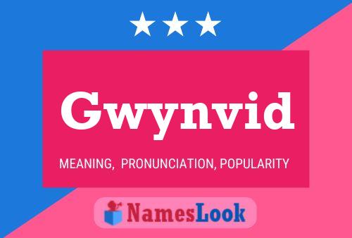 Gwynvid Name Poster