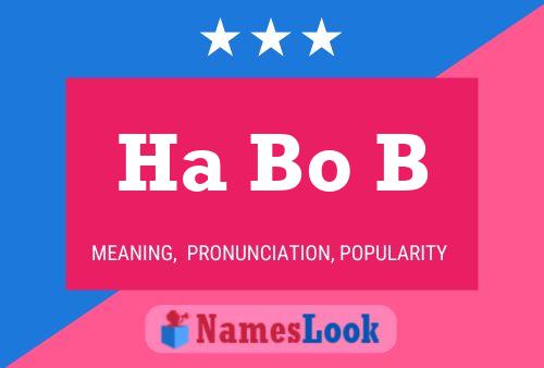 Ha Bo B Name Poster