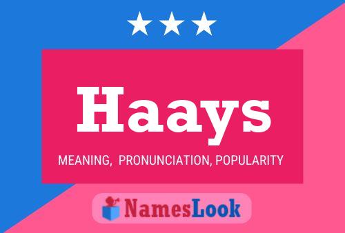 Haays Name Poster