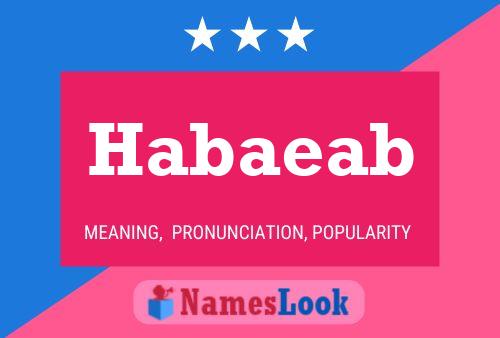 Habaeab Name Poster