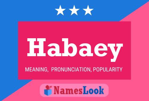 Habaey Name Poster