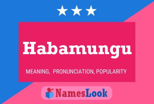 Habamungu Name Poster