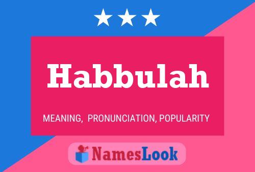 Habbulah Name Poster