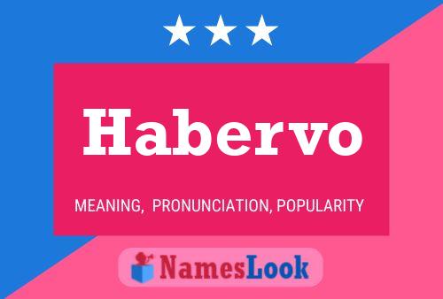 Habervo Name Poster