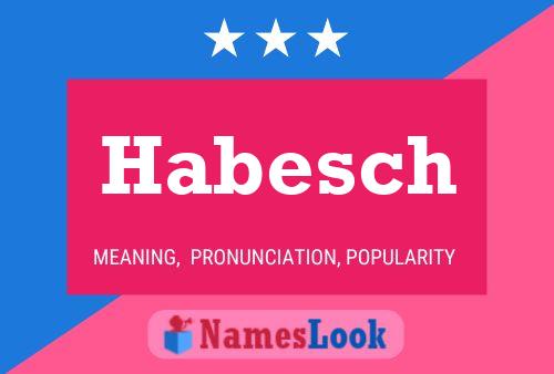 Habesch Name Poster