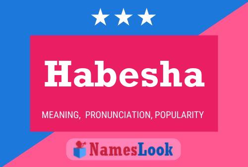 Habesha Name Poster