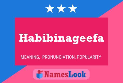 Habibinageefa Name Poster