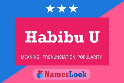 Habibu U Name Poster