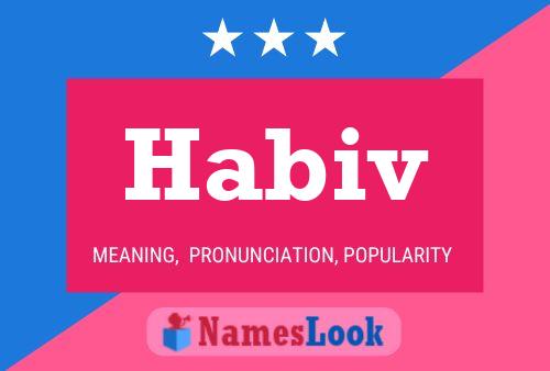 Habiv Name Poster