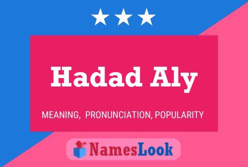 Hadad Aly Name Poster