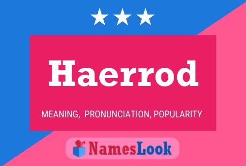 Haerrod Name Poster