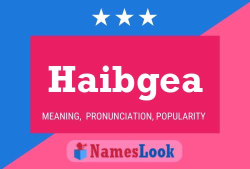 Haibgea Name Poster