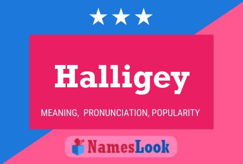 Halligey Name Poster