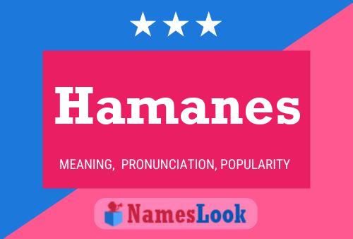 Hamanes Name Poster