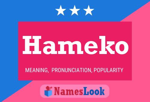 Hameko Name Poster