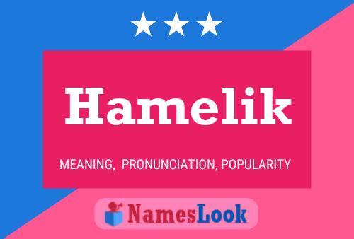 Hamelik Name Poster