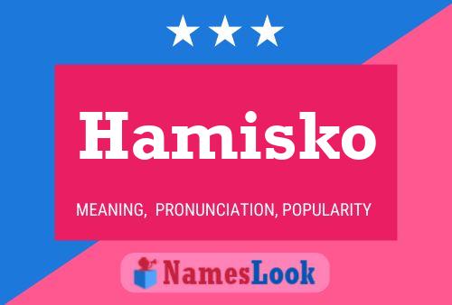 Hamisko Name Poster