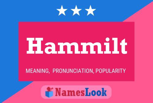 Hammilt Name Poster