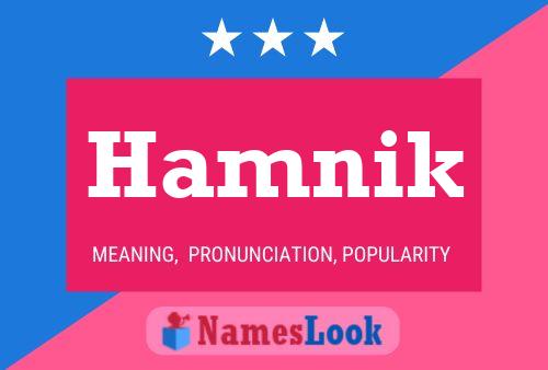 Hamnik Name Poster