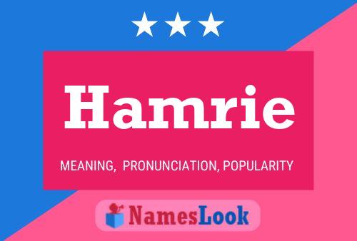 Hamrie Name Poster