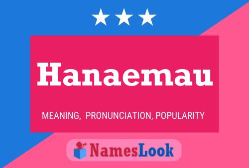 Hanaemau Name Poster