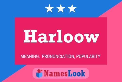 Harloow Name Poster